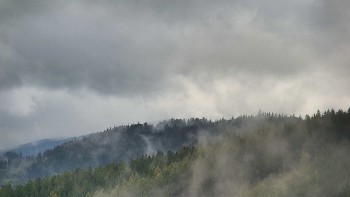 Ski areál U Sachovy studánky