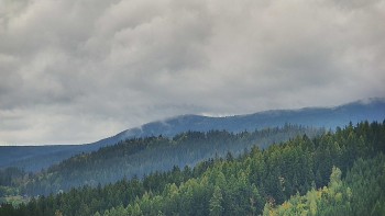Ski areál U Sachovy studánky