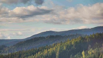 Ski areál U Sachovy studánky