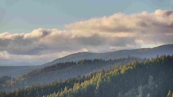 Ski areál U Sachovy studánky