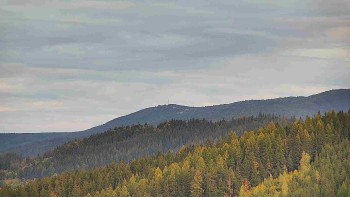 Ski areál U Sachovy studánky