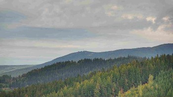 Ski areál U Sachovy studánky