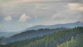 Ski areál U Sachovy studánky