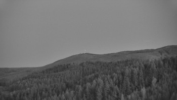 Ski areál U Sachovy studánky
