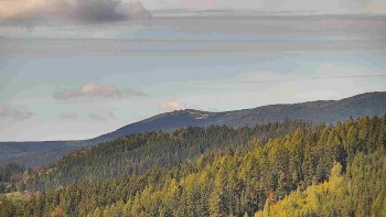 Ski areál U Sachovy studánky