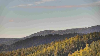 Ski areál U Sachovy studánky