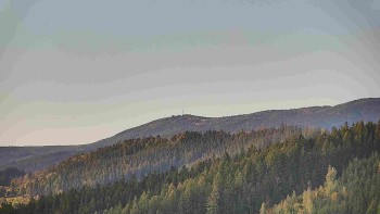 Ski areál U Sachovy studánky