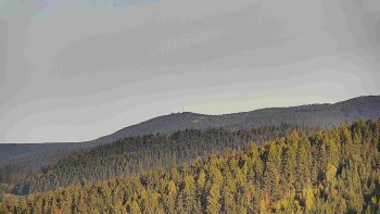 Ski areál U Sachovy studánky