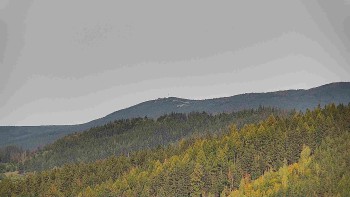 Ski areál U Sachovy studánky
