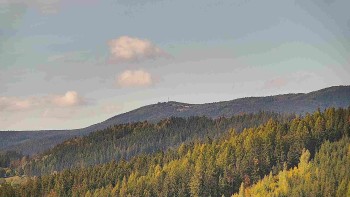Ski areál U Sachovy studánky