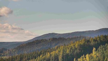 Ski areál U Sachovy studánky