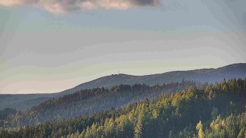 Ski areál U Sachovy studánky