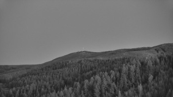 Ski areál U Sachovy studánky