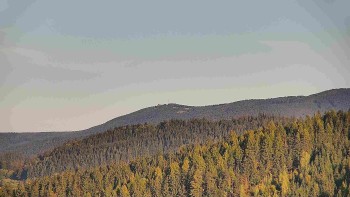 Ski areál U Sachovy studánky