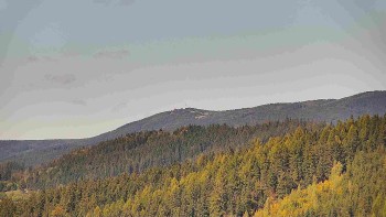 Ski areál U Sachovy studánky