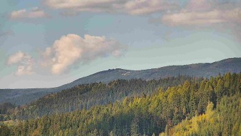 Ski areál U Sachovy studánky