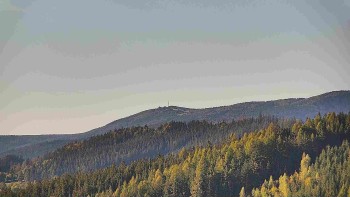 Ski areál U Sachovy studánky