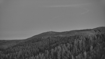 Ski areál U Sachovy studánky