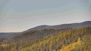 Ski areál U Sachovy studánky
