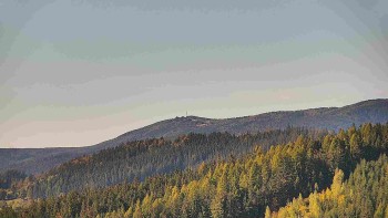 Ski areál U Sachovy studánky