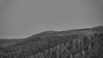 Ski areál U Sachovy studánky
