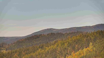 Ski areál U Sachovy studánky