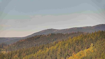 Ski areál U Sachovy studánky