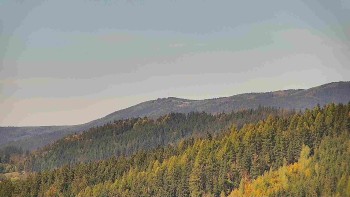 Ski areál U Sachovy studánky