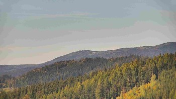 Ski areál U Sachovy studánky