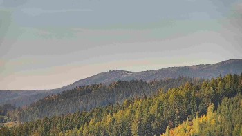 Ski areál U Sachovy studánky