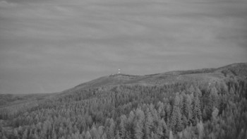 Ski areál U Sachovy studánky