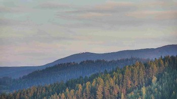 Ski areál U Sachovy studánky