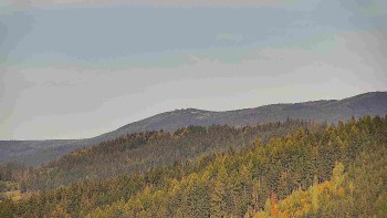 Ski areál U Sachovy studánky