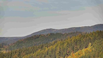 Ski areál U Sachovy studánky