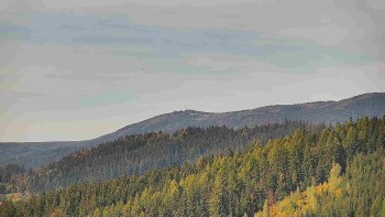 Ski areál U Sachovy studánky