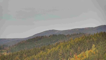 Ski areál U Sachovy studánky