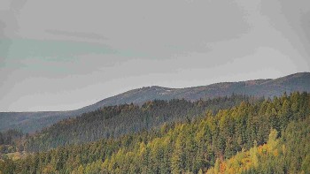 Ski areál U Sachovy studánky