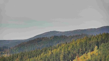 Ski areál U Sachovy studánky