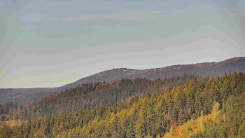 Ski areál U Sachovy studánky
