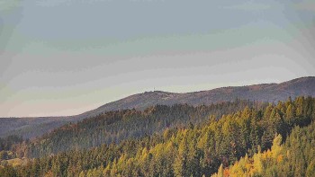 Ski areál U Sachovy studánky