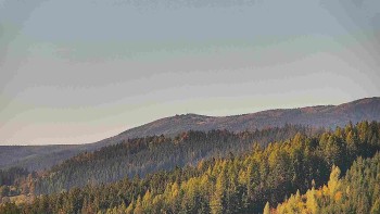 Ski areál U Sachovy studánky