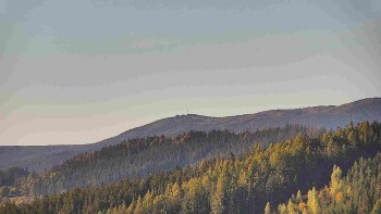 Ski areál U Sachovy studánky