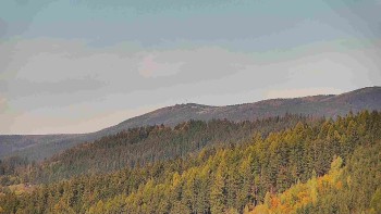 Ski areál U Sachovy studánky