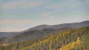 Ski areál U Sachovy studánky