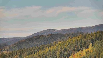 Ski areál U Sachovy studánky