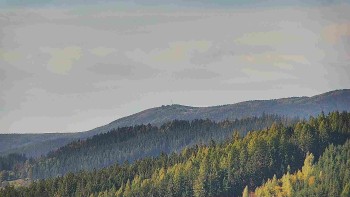 Ski areál U Sachovy studánky