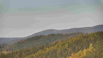 Ski areál U Sachovy studánky