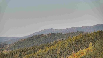 Ski areál U Sachovy studánky