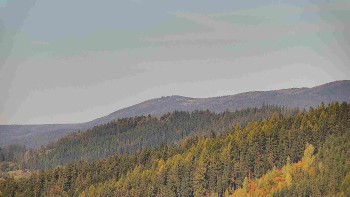Ski areál U Sachovy studánky