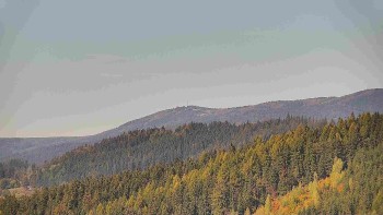 Ski areál U Sachovy studánky